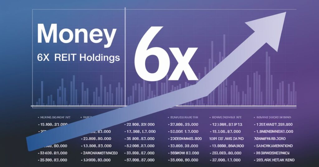 Money 6x REIT Holdings